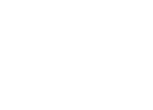 Pegatina vanlife